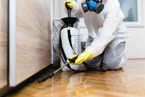 Best Local Pest Control Services  in Legend Lake, WI