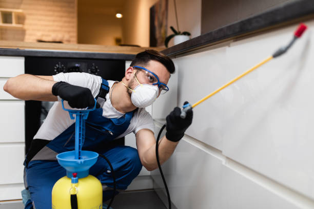 Reliable Legend Lake, WI Pest Control Solutions