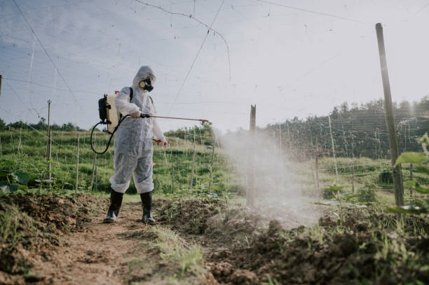 Best Termite Control Services  in Legend Lake, WI