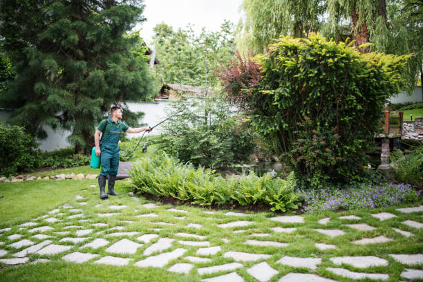 Best Ant Control Services  in Legend Lake, WI
