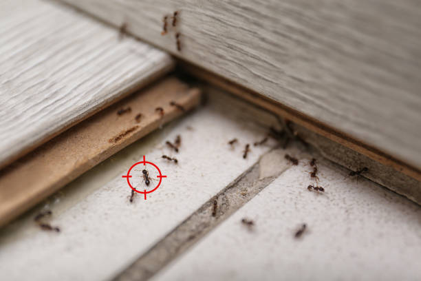 Best Pest Prevention Services  in Legend Lake, WI