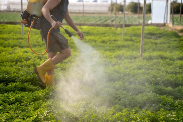 Pest Control Cost in Legend Lake, WI