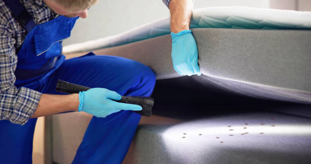 Best Flea Control Services  in Legend Lake, WI