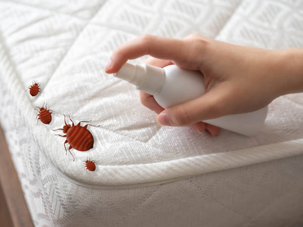 Best Pest Control for Businesses  in Legend Lake, WI