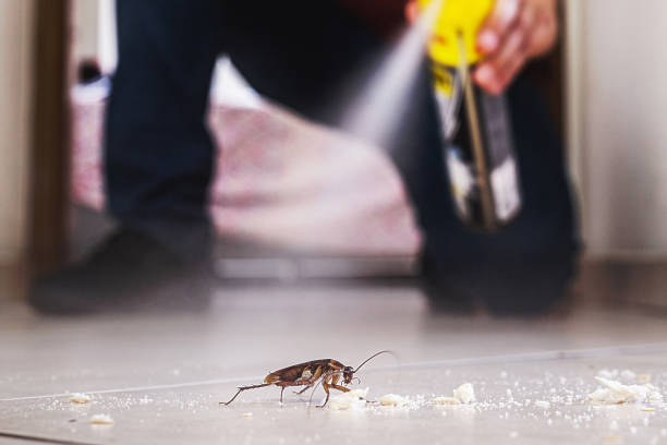 Best Cockroach Control Services  in Legend Lake, WI