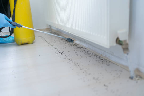 Best Commercial Pest Control Services  in Legend Lake, WI